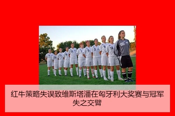 红牛策略失误致维斯塔潘在匈牙利大奖赛与冠军失之交臂