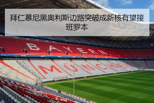 bai-ren-mu-ni-hei-ao-li-si-bian-lu-tu-po-cheng-xin-he-you-wang-jie-ban-luo-ben-2-337.jpg
