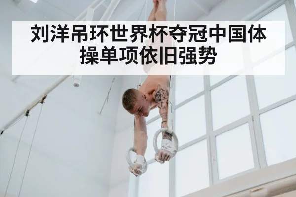 刘洋吊环世界杯夺冠中国体操单项依旧强势